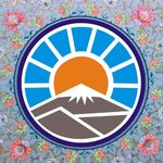 نمایندگی بیمه ایران در تجریش کد 3337