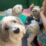 پانسیون خانگی مریم