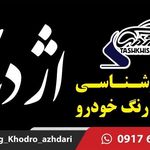 مرکز کارشناسی رنگ خودرو اژدری