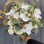 گلفروشی رز طلایی واحدیان