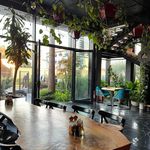 کافه رستوران ورونا