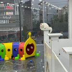 کلینیک تخصصی دامپزشکی و مرکز جراحی خزر
