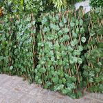 دکوراسیون داخلی امپراطور