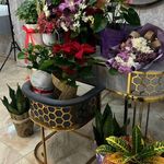 زیباسرای تخصصی عسل