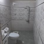 ویلا باغ علوی فرد