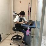 کلینیک دامپزشکی و پت شاپ جم