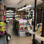 کلینیک دامپزشکی و پت شاپ جم