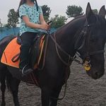 باشگاه سوارکاری راگا (شهرری)