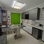 کلینیک دامپزشکی و پت شاپ اگزو