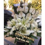 تاج گل وی آی پی