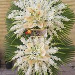 گل فروشی آندیا (شعبه دو)