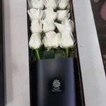 گل فروشی آندیا (شعبه دو)