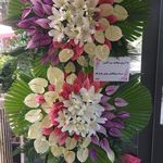 گل فروشی آندیا (شعبه دو)