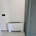 فن کویل cyperus