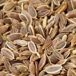 انغوزه آذری