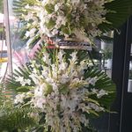 گل فروشی آندیا (شعبه دو)