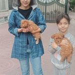 دفتر خدمات دامپزشکی دکتر قصر فخری