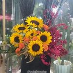 گل فروشی آندیا (شعبه دو)