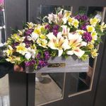 گل فروشی آندیا (شعبه دو)