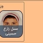 تکواندو رزمی بانو صادقیه بلوار فردوس