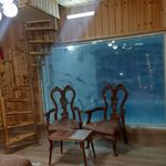 اجاره   ویلا استخردار