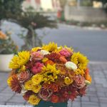 بوتیک گل خاک