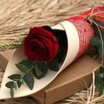 آموزشی تربیتی پیش دبستان و دبستان دختران