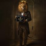 گروه بازرگانی باطری تقوی