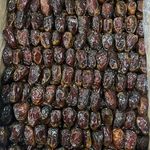 الیما تجارت