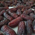 الیما تجارت