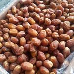 الیما تجارت