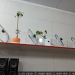 بازسازی ظروف مقدم