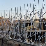 حفاظ شاخ گوزنی آذین حفاظ