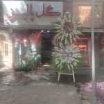 گلفروشی مهدی پالیز