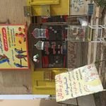 دنیای پرندگان خانواده