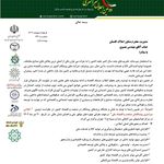 سازنده و مشاور املاک