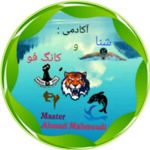 آموزش تخصصی شنا و هنر رزمی کانگ فو توآ