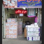 پخش تخم مرغ خالدی