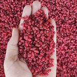 خشکبار قلندری