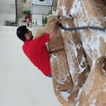 مبلشویی تخصصی سپیدار