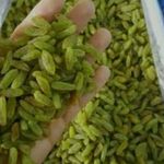 آجیل وخشکبار ارده وکره گیری فانی