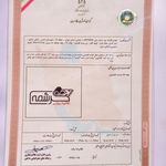 کارخانه قالیشویی نمونه کرشمه (شعبه اصلی)