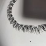 پخش آرایشی و مژه شیخی