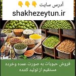 فروشگاه آنلاین شاخه زیتون