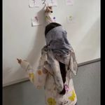 آموزشگاه زبان قلم گستر