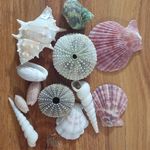 لوازم شمع سازی و رزین بهزادیان