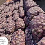 بارفروشی حاج مصطفی کاظمی فروش میوه عمده