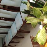 مبلشویی تخصصی سپیدار