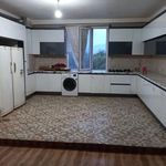 کابینت امیر جوی