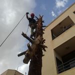 خدمات کار در ارتفاع استکی